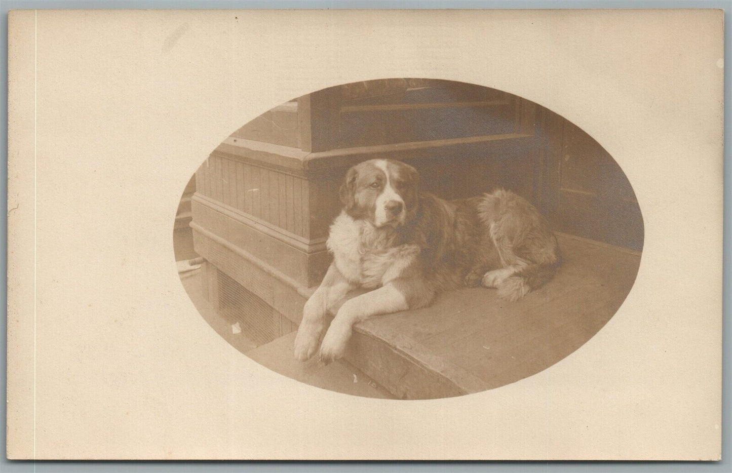 SERIOUS DOG ANTIQUE REAL PHOTO POSTCARD RPPC