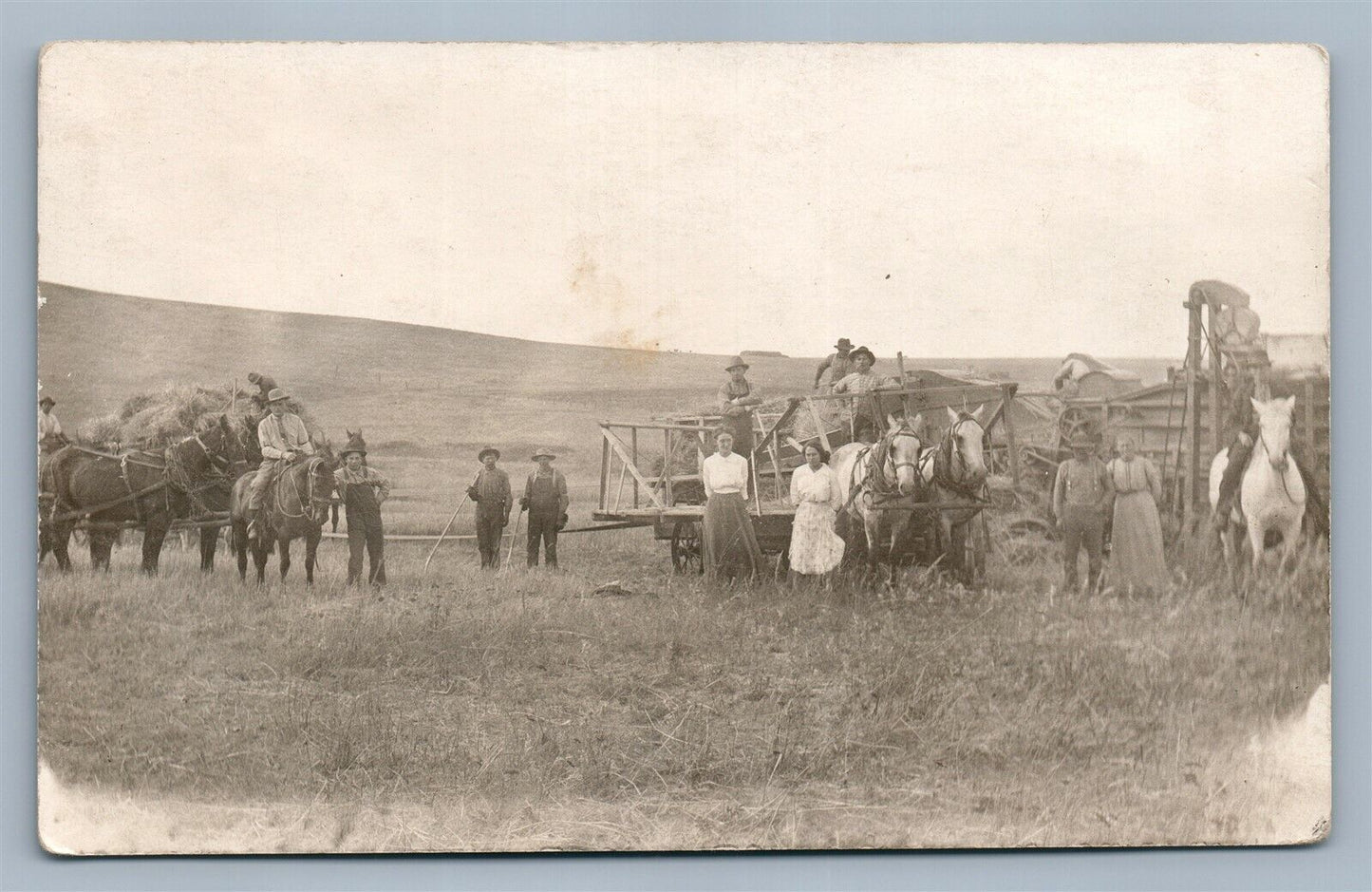 FARM HARVESTING SCENE HORSE DRAWN CART ANTIQUE REAL PHOTO POSTCARD RPPC