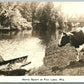 FOX LAKE WI EXAGGERATED FISHING w/ COW ANTIQUE REAL PHOTO POSTCARD RPPC