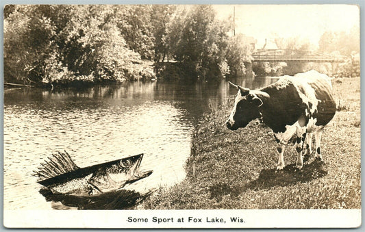 FOX LAKE WI EXAGGERATED FISHING w/ COW ANTIQUE REAL PHOTO POSTCARD RPPC