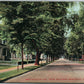 ELIZABETH NJ WESTMINSTER AVENUE ANTIQUE POSTCARD