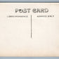 FARM SCENE LADY w/ GOOSE ANTIQUE REAL PHOTO POSTCARD RPPC