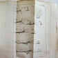 1744 NATURAL HISTORY of the POLYPES ILLUSTRATED w/ 22 engraved plates ANTIQUE