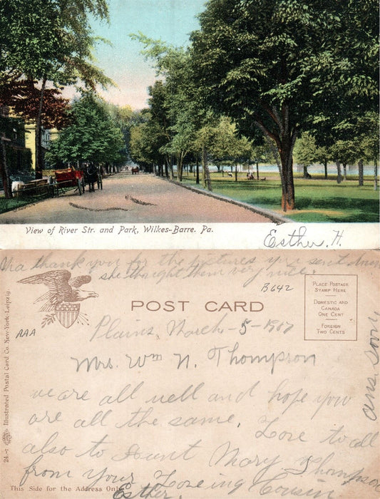 WILKES-BARRE PA RIVER STREET & PARK ANTIQUE UNDIVIDED POSTCARD
