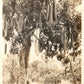 MIAMI FL SAUSAGES GROW ON TREES VINTAGE 1939 REAL PHOTO POSTCARD RPPC