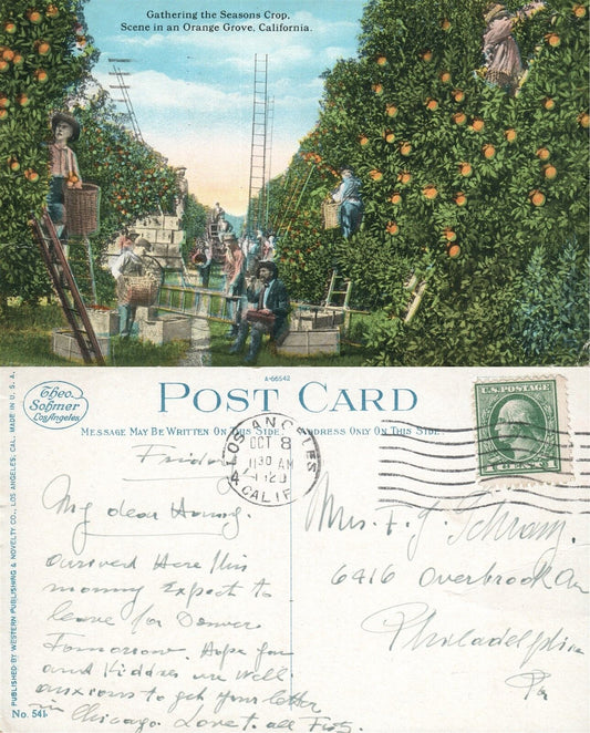 ORANGE GROVE CA 1920 ANTIQUE POSTCARD