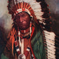 AMERICAN CHEYENNE INDIAN STANDING WOLF ANTIQUE POSTCARD