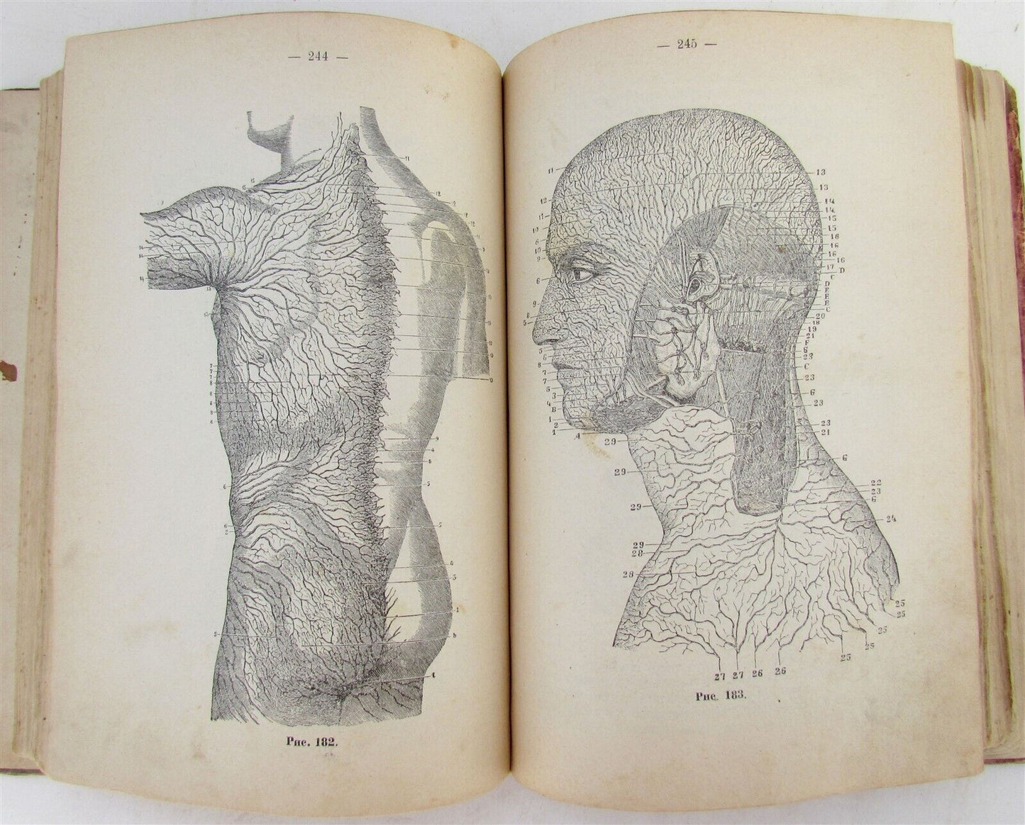 1916 RUSSIAN MEDICAL TEXTBOOK for MILITARY DOCTORS antique WWI ERA illustrated