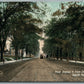 SOUTH NORWALK CT WEST AVENUE ANTIQUE POSTCARD