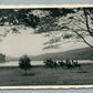 DUDE RANCHES NEW JERSEY VINTAGE POSTCARD