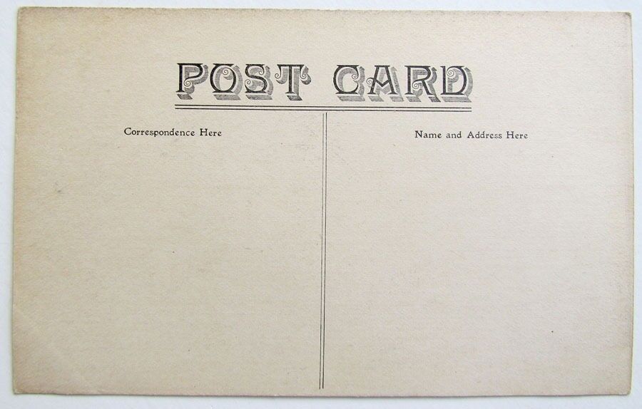 VINTAGE POSTCARD BEFORE AND... DELAWARE WATER GAP PA MULES or DONKEYS