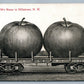 HILLSBORO NH EXAGGERATED APPLES ANTIQUE POSTCARD