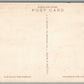 HUDSON RIVER NY INDIAN POINT PLAYGROUND ANTIQUE POSTCARD