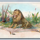 YORK PA LECKERING PIANO VICTORIAN TRADE CARD LION & MOUSE