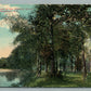 MIDDLETOWN NY SHORE OF WALLKILL RIVER ANTIQUE POSTCARD