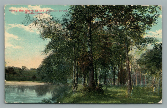 MIDDLETOWN NY SHORE OF WALLKILL RIVER ANTIQUE POSTCARD