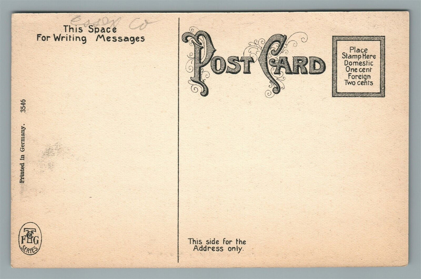 NEWARK NJ DOG on HORSE ANTIQUE POSTCARD ring at first troop Armory