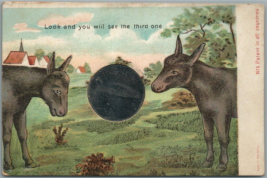 DONKEYS COMIC ANTIQUE POSTCARD w/ INSERTED METAL MIRROR