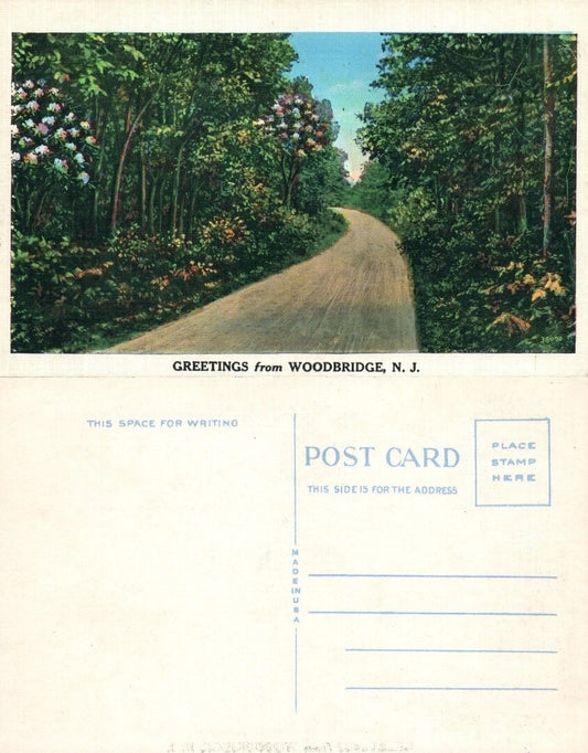 WOODBRIDGE N.J. GREETINGS VINTAGE POSTCARD