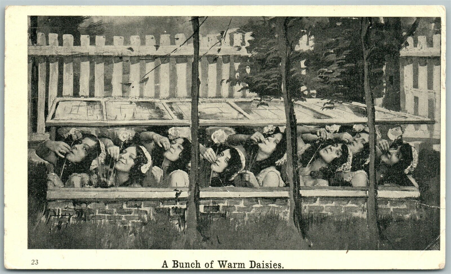 GIRLS w/ FLOWERS BANCH OF WORM DAISIES ANTIQUE POSTCARD