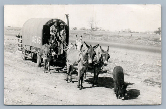 MULE DRAWN CART NEW MEXICO 1953 VINTAGE REAL PHOTO POSTCARD RPPC