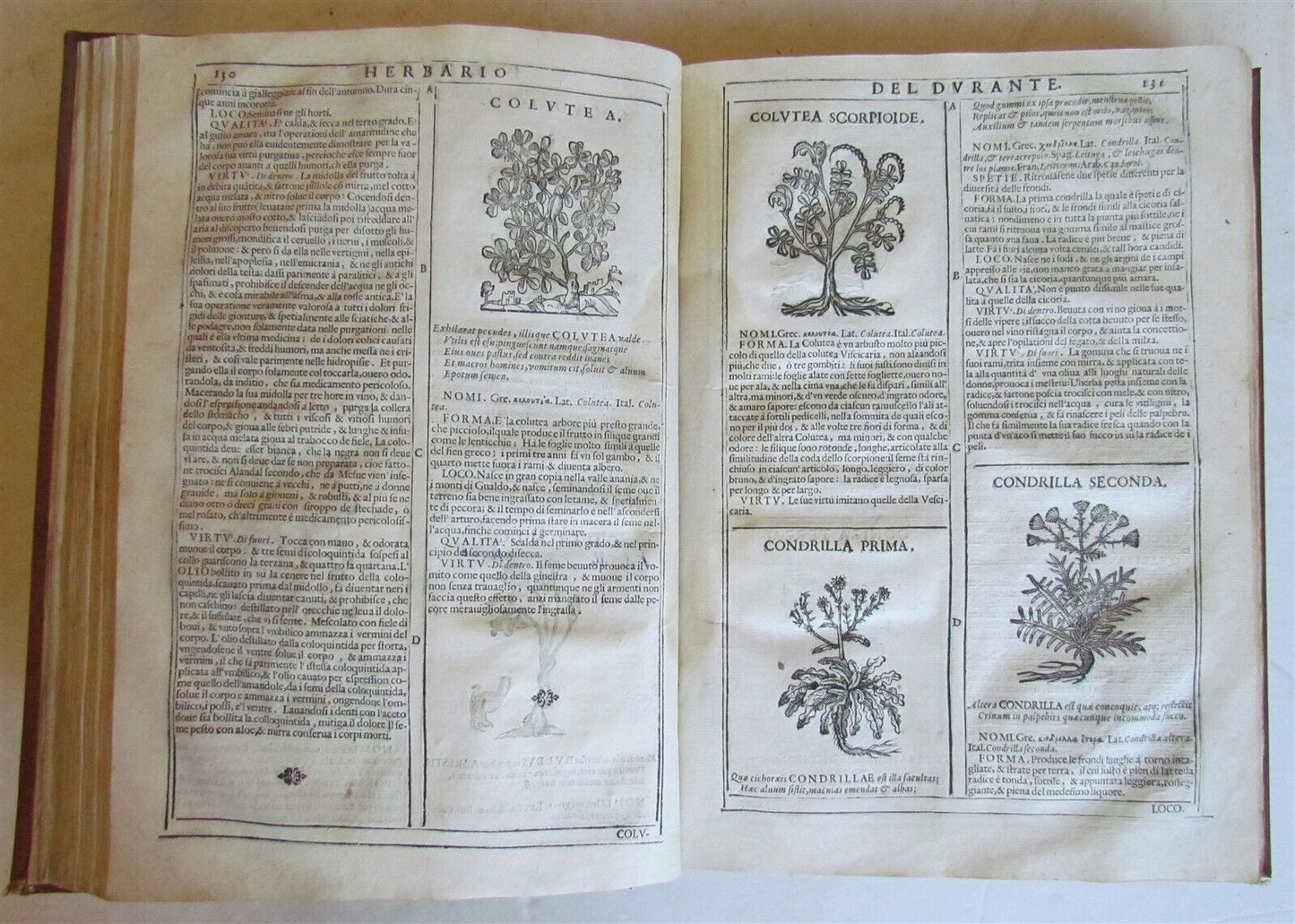 1667 HERBARIO NOVO by Castore DURANTE antique PLANTS BOTANY FULLY ILLUSTRATED