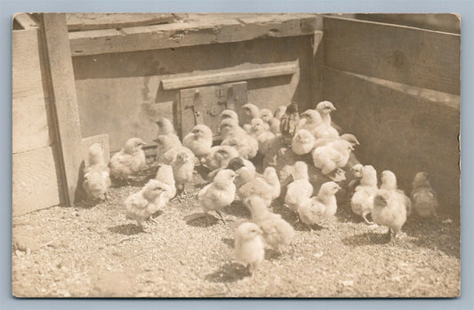 FARM SCENE w/ CHICKS ANTIQUE REAL PHOTO POSTCARD RPPC