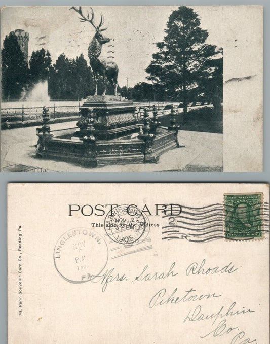 ANTIQUE 1905 UNDIVIDED POSTCARD DEER FOUNTAIN CITY PARK READING PA