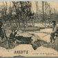 HUNTING RABBIT EXAGGERATED ANTIQUE POSTCARD