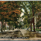 RED BANK NJ MONMOUTH STREET ANTIQUE POSTCARD