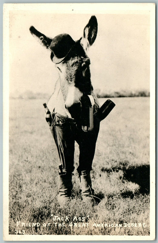 JACK ASS FRIEND OF AMERICAN DESERT ANTIQUE REAL PHOTO POSTCARD RPPC PHOTOMONTAGE