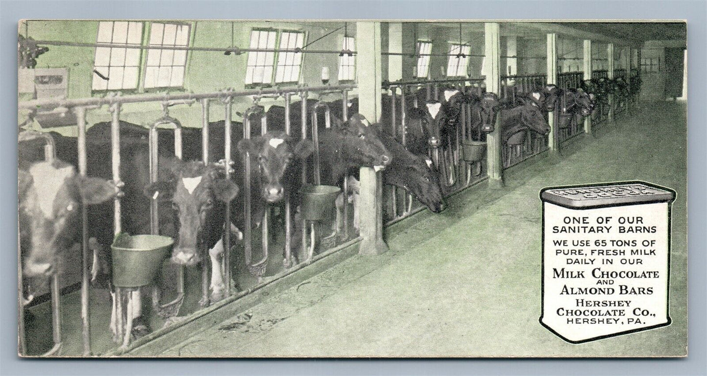 HERSHEY PA CHOCOLATE COMPANY SANITARY BARN w/ COWS ANTIQUE POSTCARD