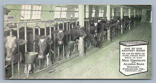 HERSHEY PA CHOCOLATE COMPANY SANITARY BARN w/ COWS ANTIQUE POSTCARD
