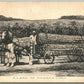 LOAD OF KANSAS CORN EXAGGERATED 1908 ANTIQUE POSTCARD w/ CORK CANCEL