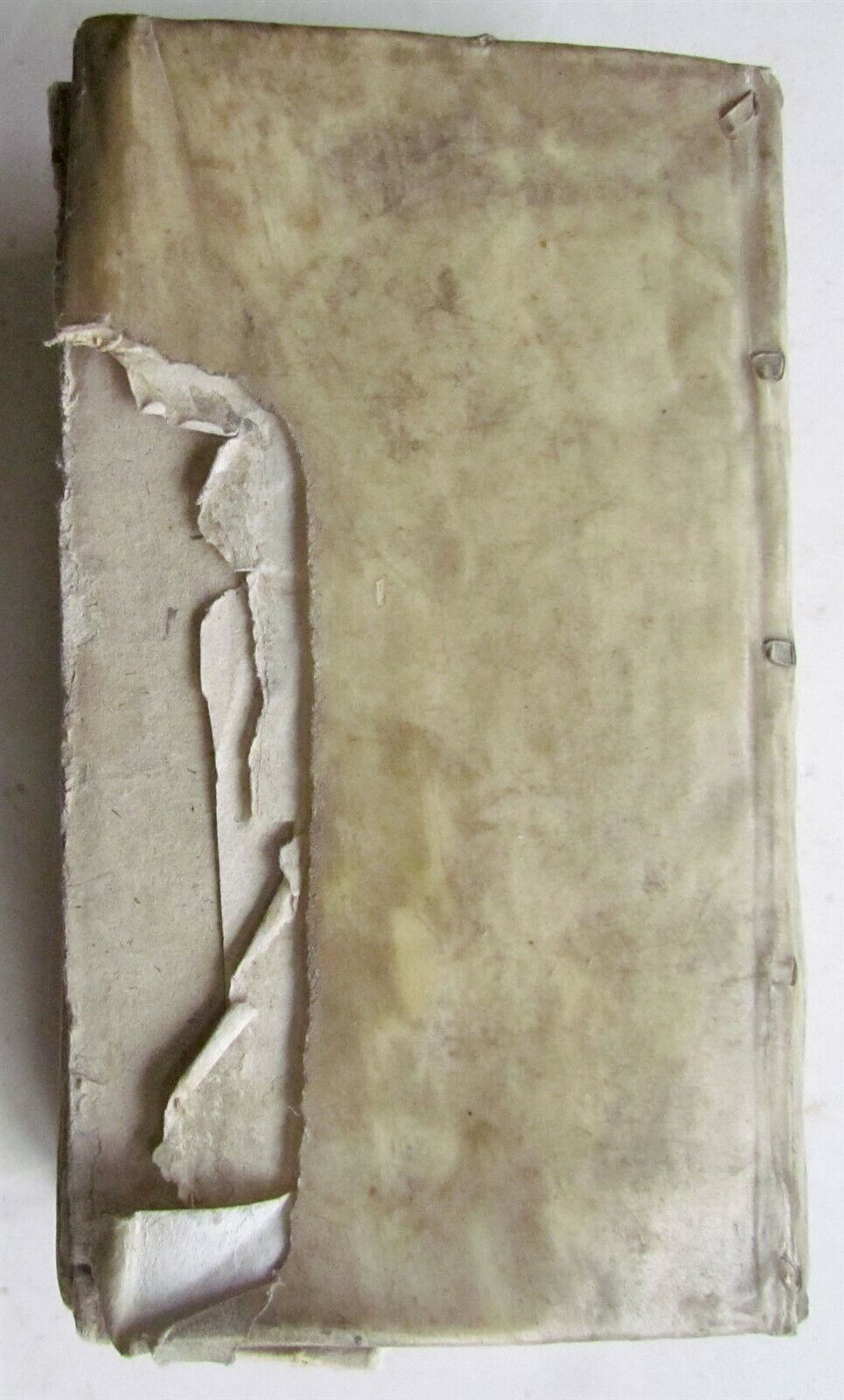 1670 PUBLII TERENTII COMOEDIAE SEX VELLUM BOUND antique