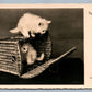 CAT HIDING IN BASKET ANTIQUE REAL PHOTO POSTCARD RPPC