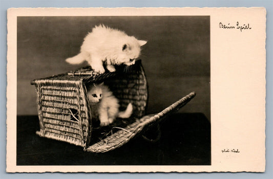 CAT HIDING IN BASKET ANTIQUE REAL PHOTO POSTCARD RPPC