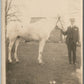 YOUNG MAN w/ HORSE ANTIQUE REAL PHOTO POSTCARD RPPC