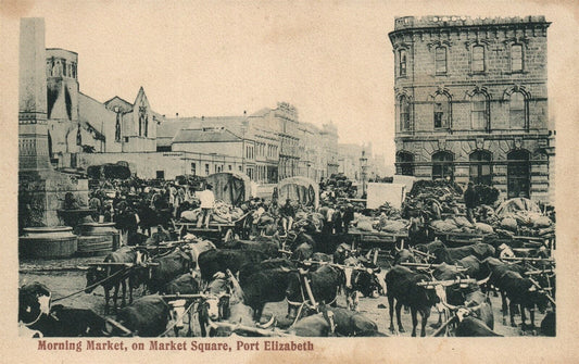 SOUTH AFRICA PORT ELIZABETH MARKET SQUARE ANTIQUE UNDIVIDED POSTCARD