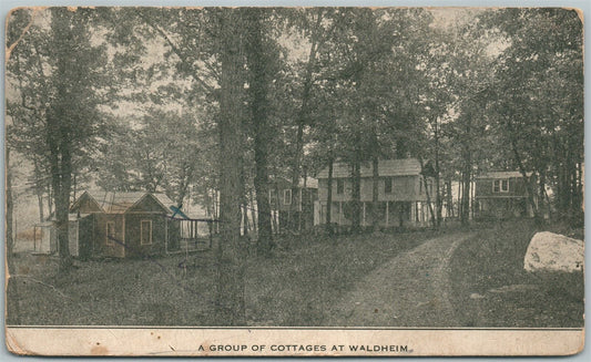 WALDHEIM PARK PA COTTAGES 1912 ANTIQUE POSTCARD