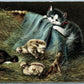 CAT & BABY BIRDS ANTIQUE POSTCARD