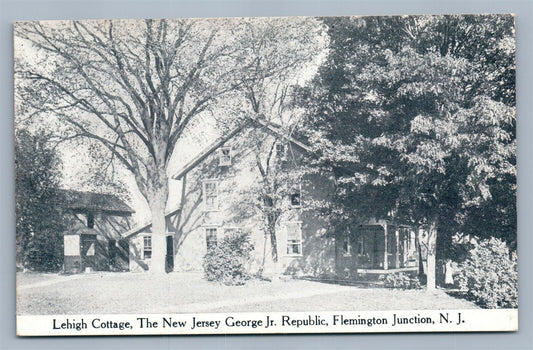 FLEMINGTON JUNCTION NJ LEHIGH COTTAGE ANTIQUE POSTCARD