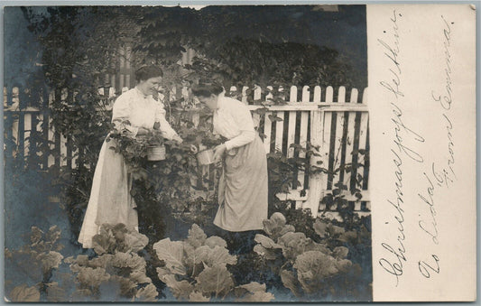 LADIES PLANTING CABBAGE ANTIQUE REAL PHOTO POSTCARD RPPC