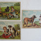 LITTLE GIRLS w/ DOGS SET OF 3 ANTIQUE VICTORIAN TRADE CARDS