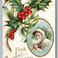 SANTA CLAUS in LIGHT GREEN ROBE w/ CHRISTMAS TREE EMBOSSED 1908 ANTIQUE POSTCARD