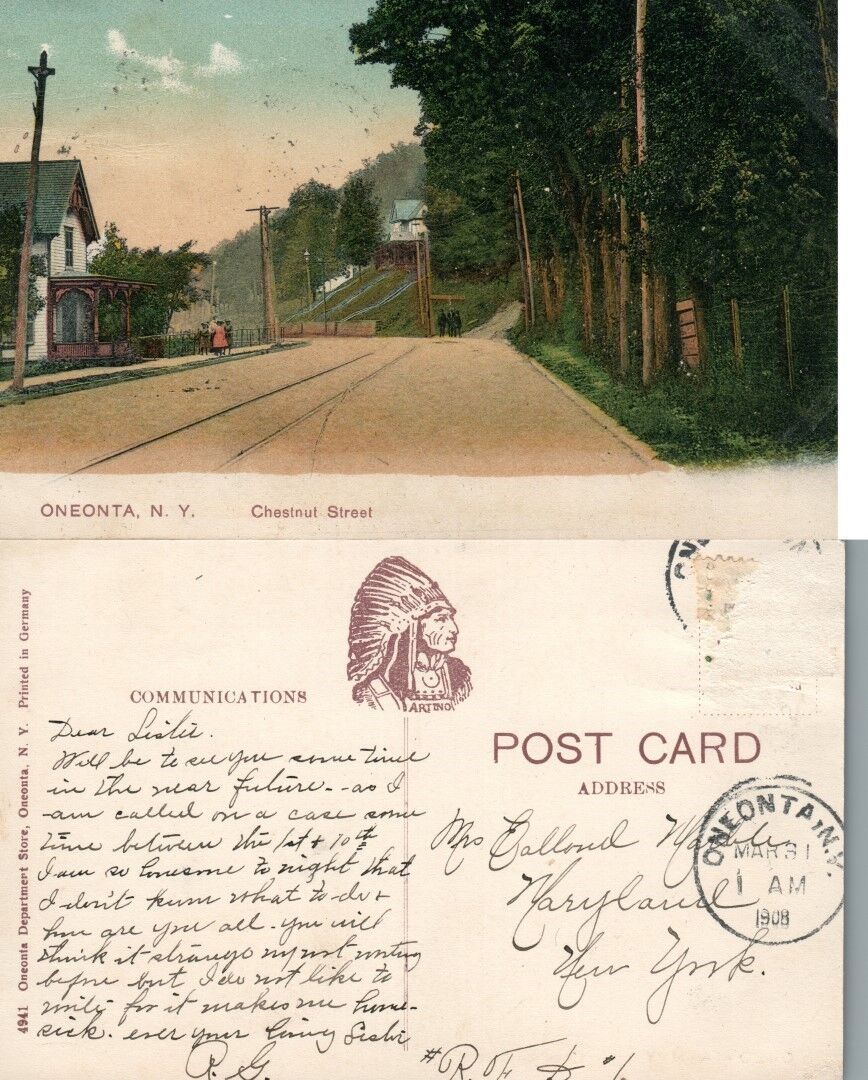 ONEONTA N.Y. CHESTNUT STREET 1908 ANTIQUE POSTCARD