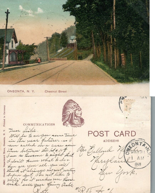 ONEONTA N.Y. CHESTNUT STREET 1908 ANTIQUE POSTCARD