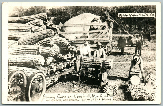 VAN BUREN AR CORN on FARM EXAGGERATED VINTAGE REAL PHOTO POSTCARD RPPC