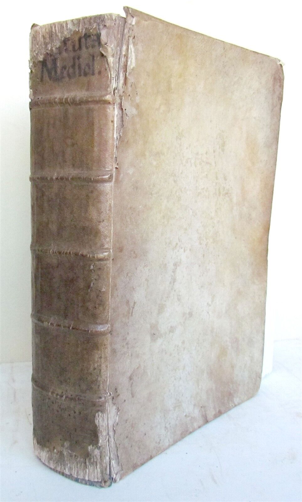 1552 MILAN HISTORY antique VELLUM BOUND FOLIO 16th CENTURY Statuti di Milano