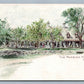 FISHER'S ISLAND NY MANSION HOUSE HOTEL ANTIQUE POSTCARD